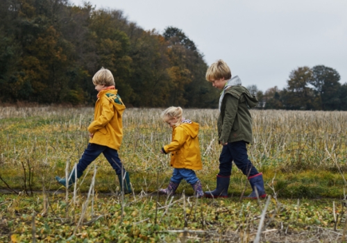 Three children walking through a field together